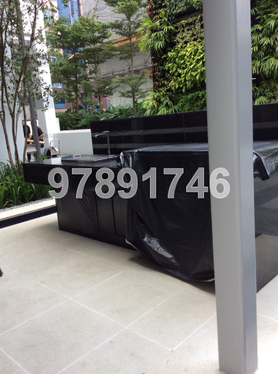 The Boutiq (D9), Apartment #38591322